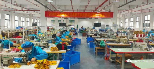 大化成功舉辦第二屆防護制品技能大賽 聚焦軟件開發與技術轉讓創新